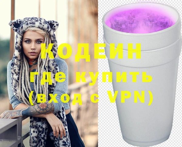 индика Аркадак