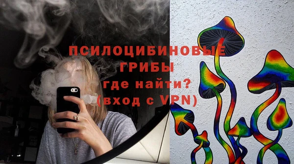 бошки Балахна