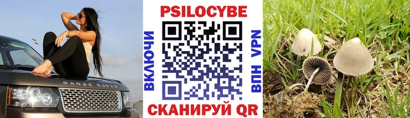 даркнет сайт  Талдом  Псилоцибиновые грибы прущие грибы 